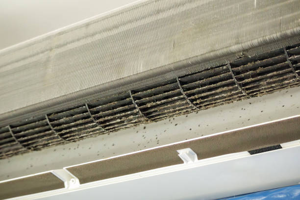 Best HVAC Maintenance and Cleaning  in Mishicot, WI